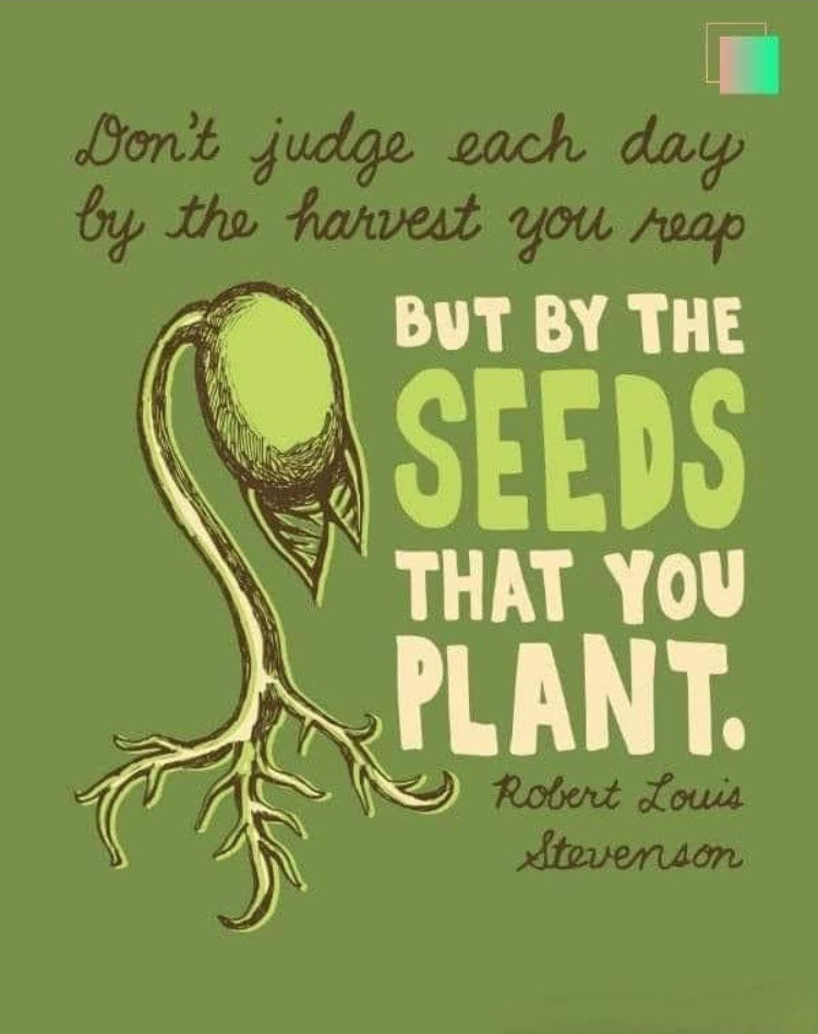 Seeds that you plant